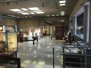 Archaeological Museum of Thebes