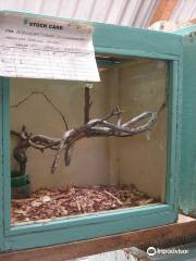 East African Reptile Park