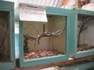 East African Reptile Park