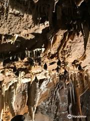 Pejca v Lascu - Towers of Slivia Cave