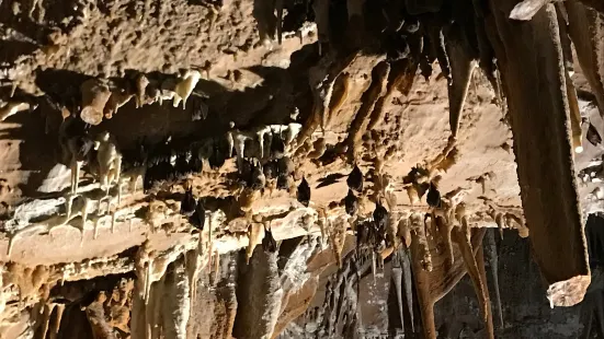Pejca v Lascu - Towers of Slivia Cave