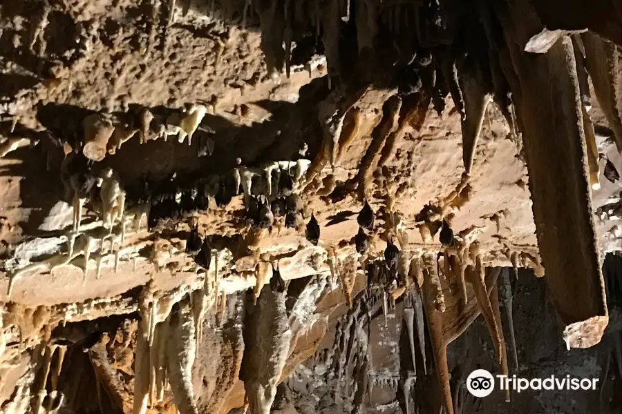 Pejca v Lascu - Towers of Slivia Cave