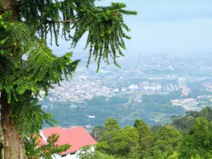 Bukit Larut