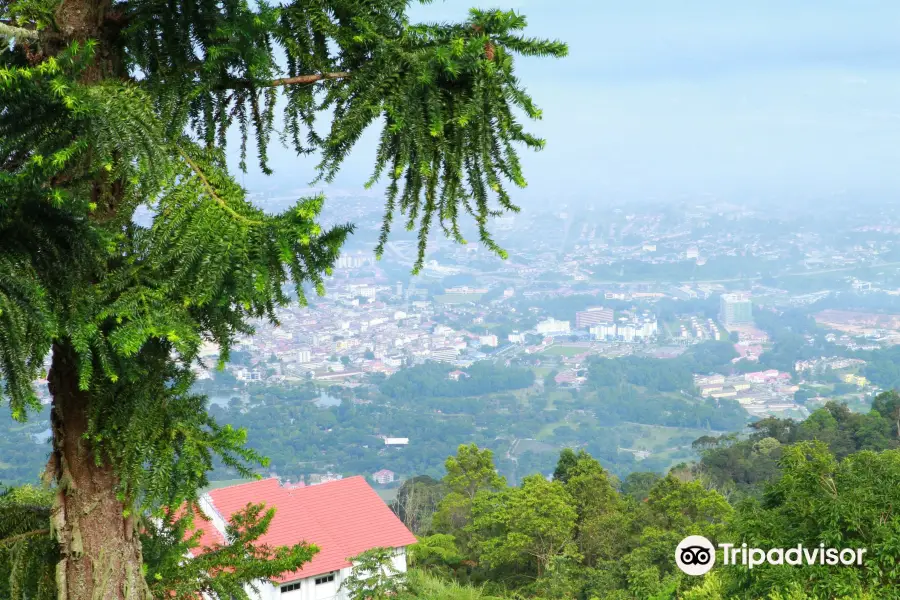 Bukit Larut