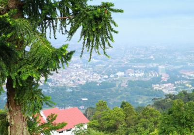 Bukit Larut