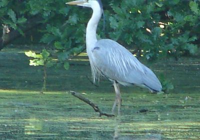 Coombe Country Park