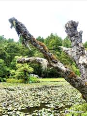 拉帕拉花園住宿加早餐旅館