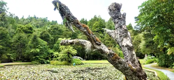 タプのホテル