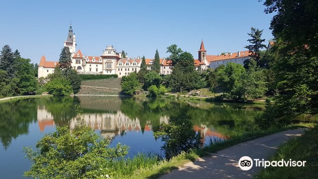 Pruhonice Park