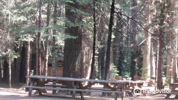 Sierra National Forest