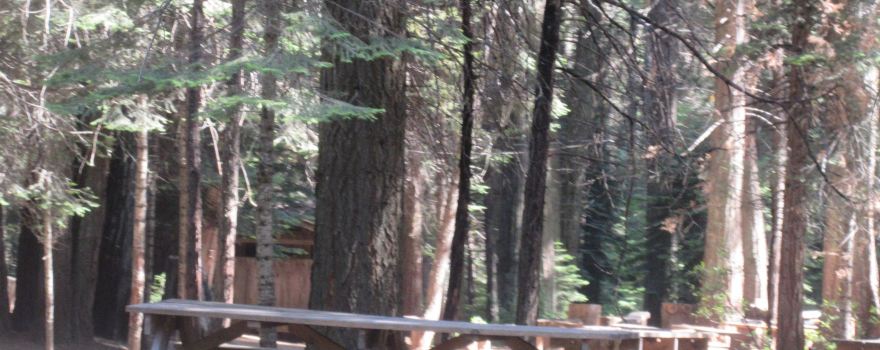 Sierra National Forest