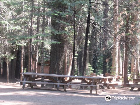 Sierra National Forest