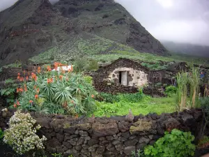 Ecomuseo de Guinea y Lagartario