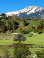 Mount Honaz National Park