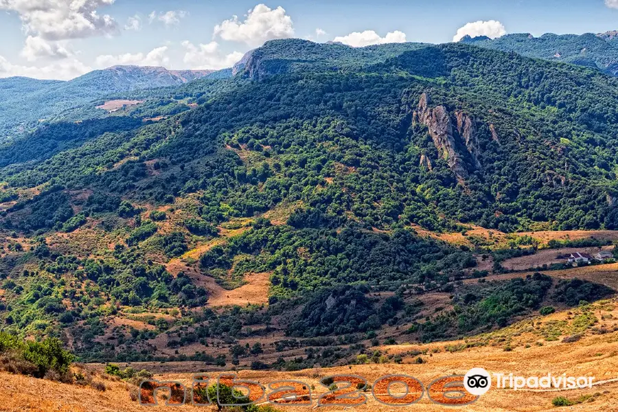 Riserva naturale orientata Bosco della Ficuzza, Rocca Busambra, Bosco del Cappelliere e Gorgo del Drago