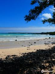 Sharksky Ecoadventures Galapagos