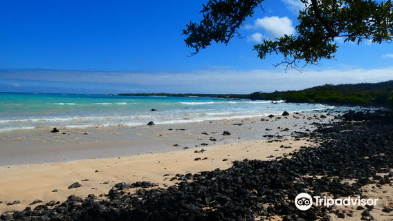 Sharksky Ecoadventures Galapagos