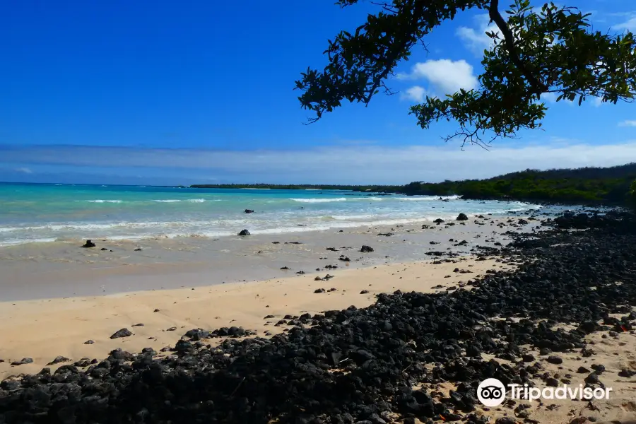 Sharksky Ecoadventures Galapagos