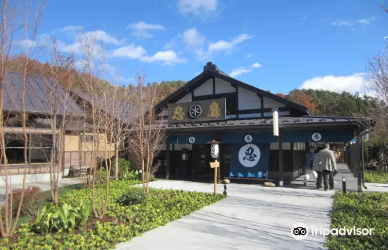 忍野忍村忍者表演＋機關大宅＋忍者體能訓練學生