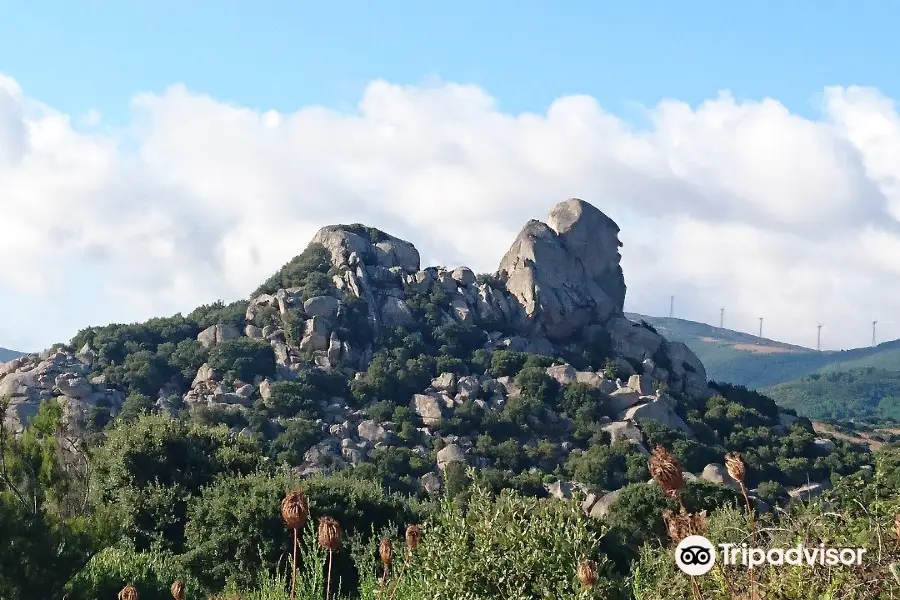 Valle della Luna