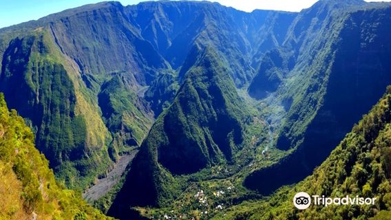 Belvedere de Bois Court