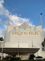 Walter Disney Cirque du Soleil