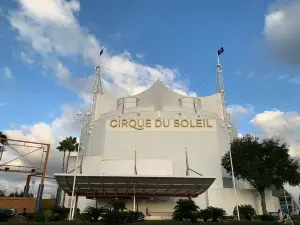 Walter Disney Cirque du Soleil