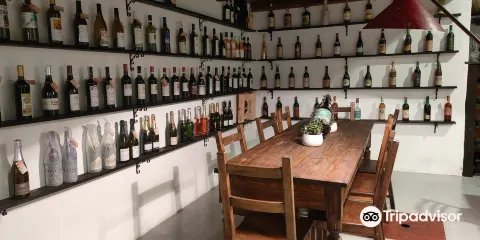 Cantina Morino