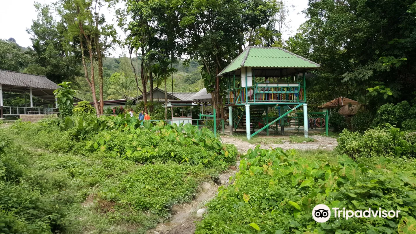 3_Amazing Bukit Safari