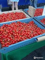 Santa Rosa Wednesday Night Market