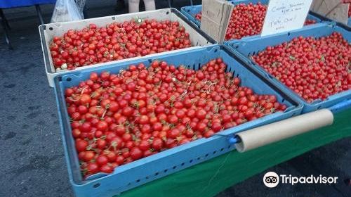 Santa Rosa Wednesday Night Market