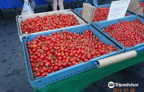 Santa Rosa Wednesday Night Market