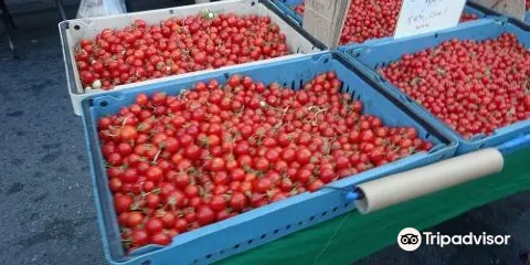Wednesday Night Market