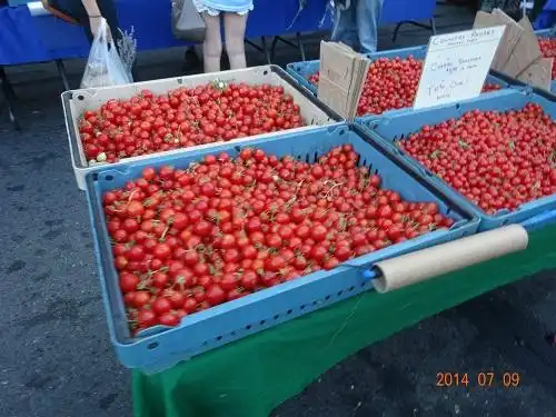 Santa Rosa Wednesday Night Market 주변 호텔