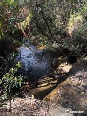 South Lawson Waterfall Circular Walking Track