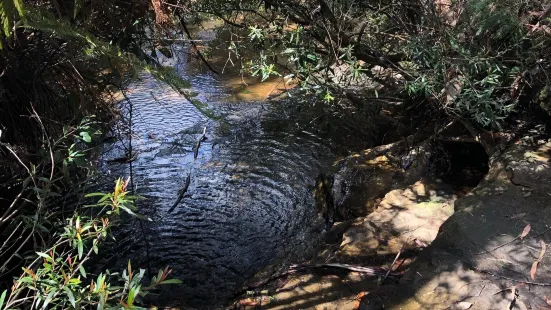 South Lawson Waterfall Circular Walking Track