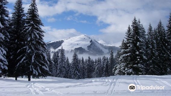 Avoriaz Ski Resort