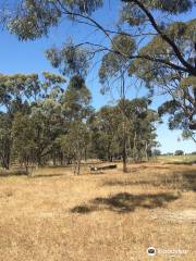 Barrabool State Forest