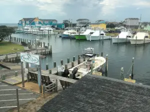 Hallelujah Charters