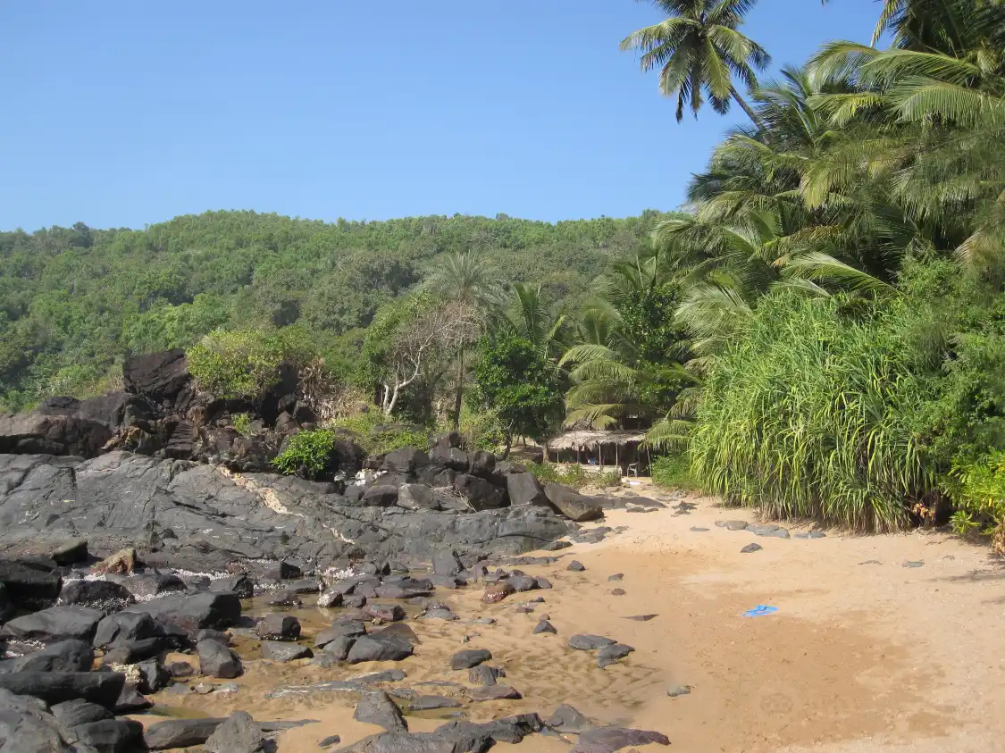 Hotels near Half Moon Beach
