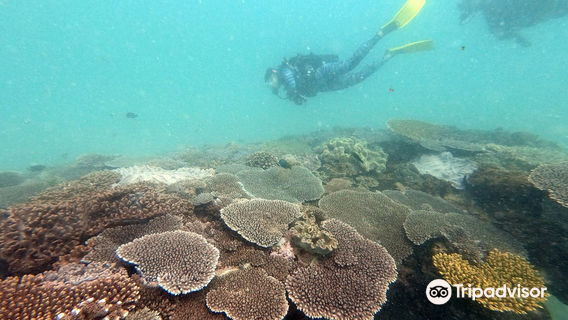 Exmouth Diving