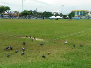 Padang MBK 2