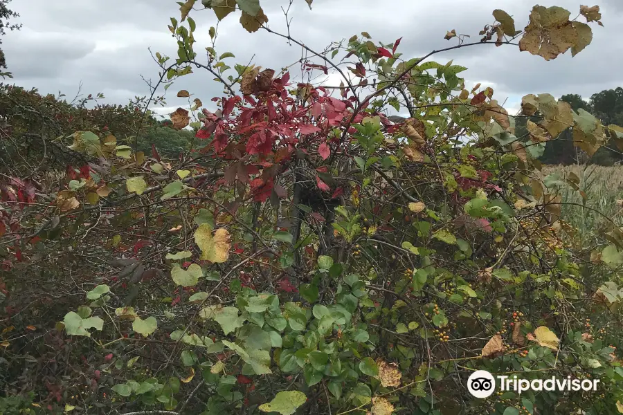 Bell’s Neck Conservation Lands