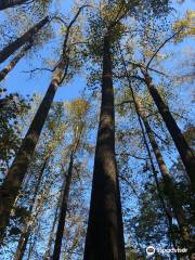 Wahkeena Nature Preserve