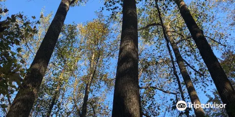 Wahkeena Nature Preserve