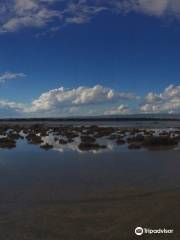 Lady's Mile Beach