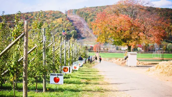 Donaldson Farms Farm Market