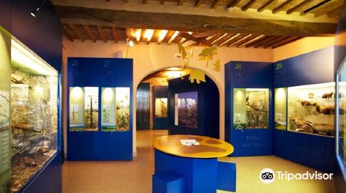 Museum of Natural History of the Maremma