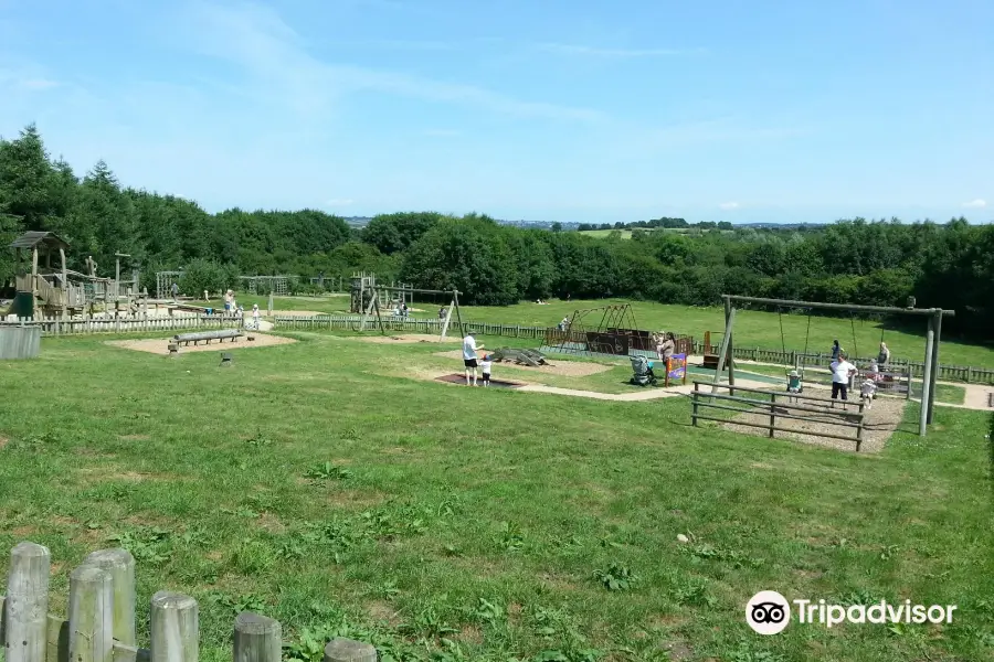 Rosliston Forestry Centre