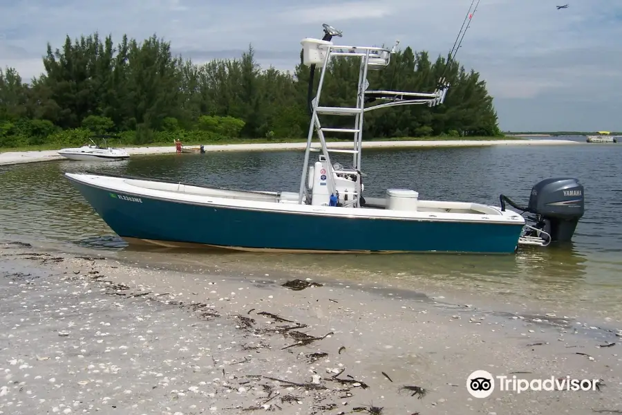 Tampa Bays Fishing Charter